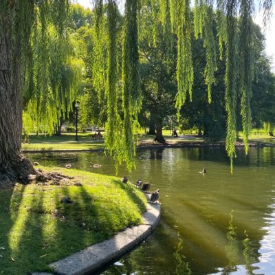 Park